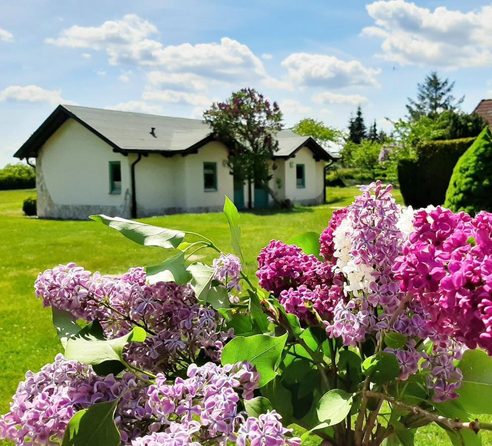 Pension Landhaus Teichgraf Wolgast Bagian luar foto